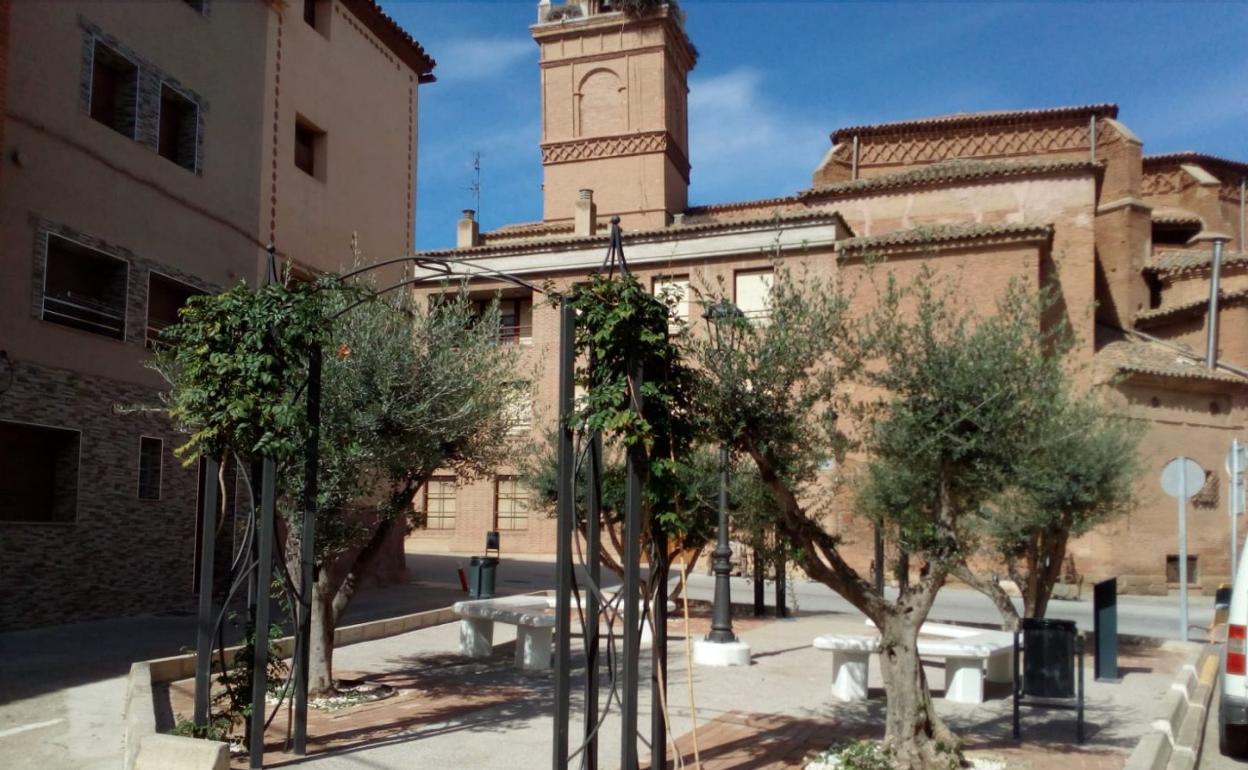 cambio-de-nombre-de-la-plaza-de-los-olivos-de-rinc-n-de-soto-la-rioja